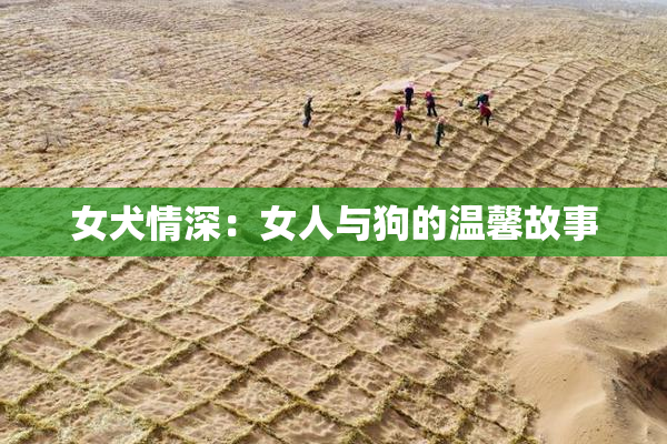 女犬情深：女人与狗的温馨故事