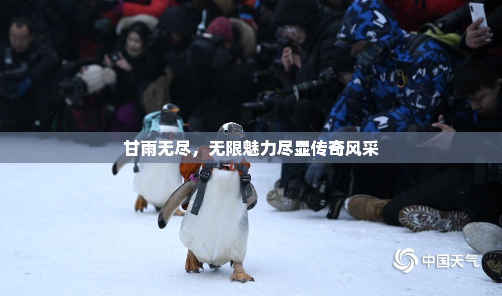 甘雨无尽，无限魅力尽显传奇风采