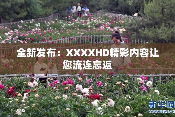全新发布：XXXXHD精彩内容让您流连忘返