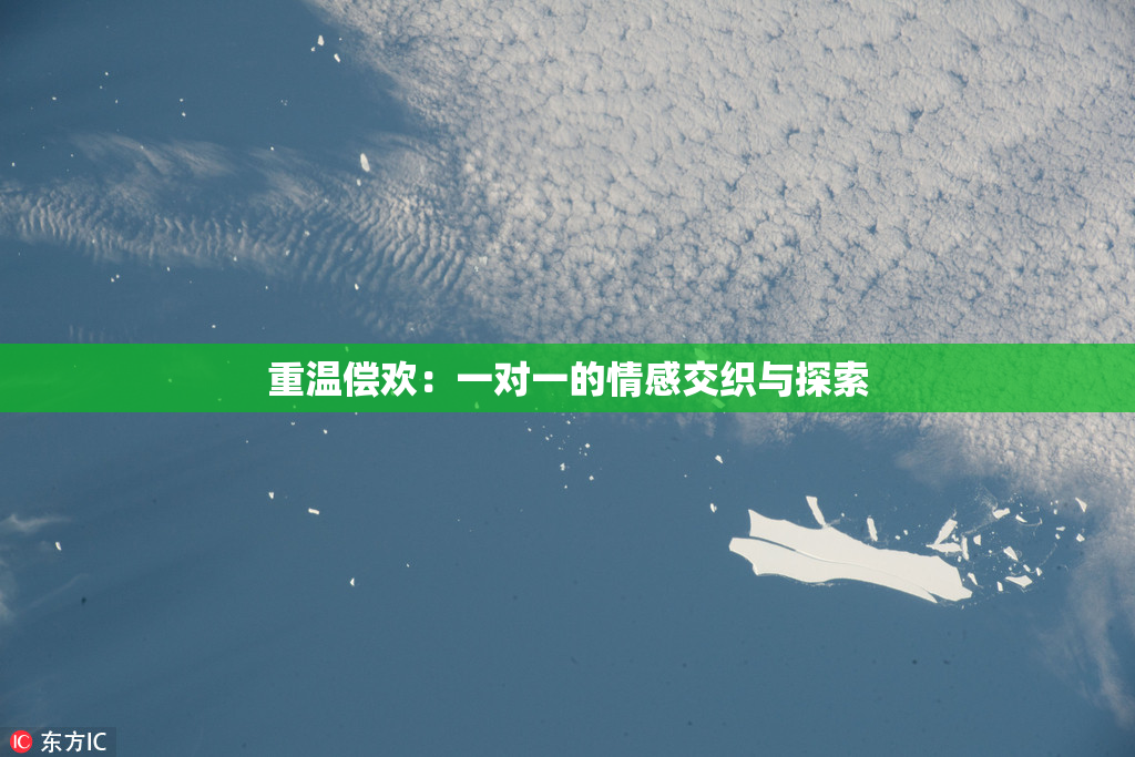 重温偿欢：一对一的情感交织与探索