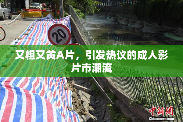 又粗又黄A片，引发热议的成人影片市潮流