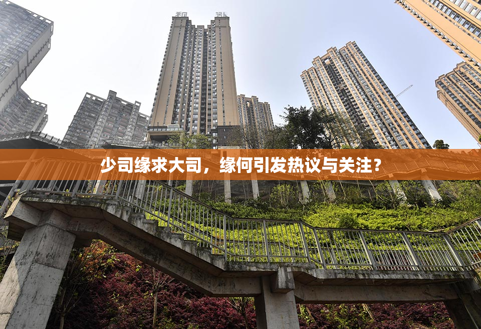 少司缘求大司，缘何引发热议与关注？