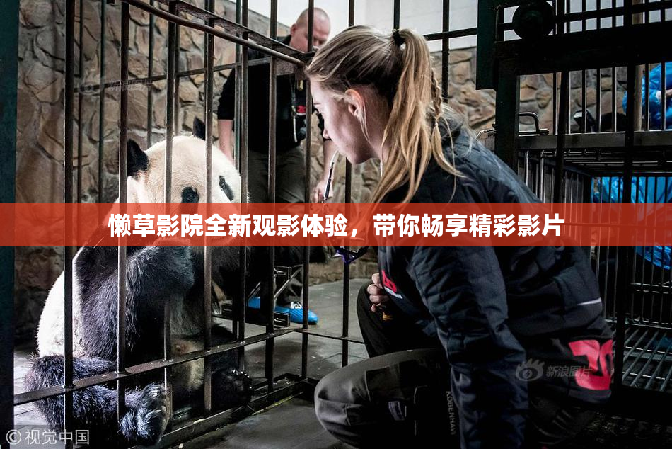 懒草影院全新观影体验，带你畅享精彩影片