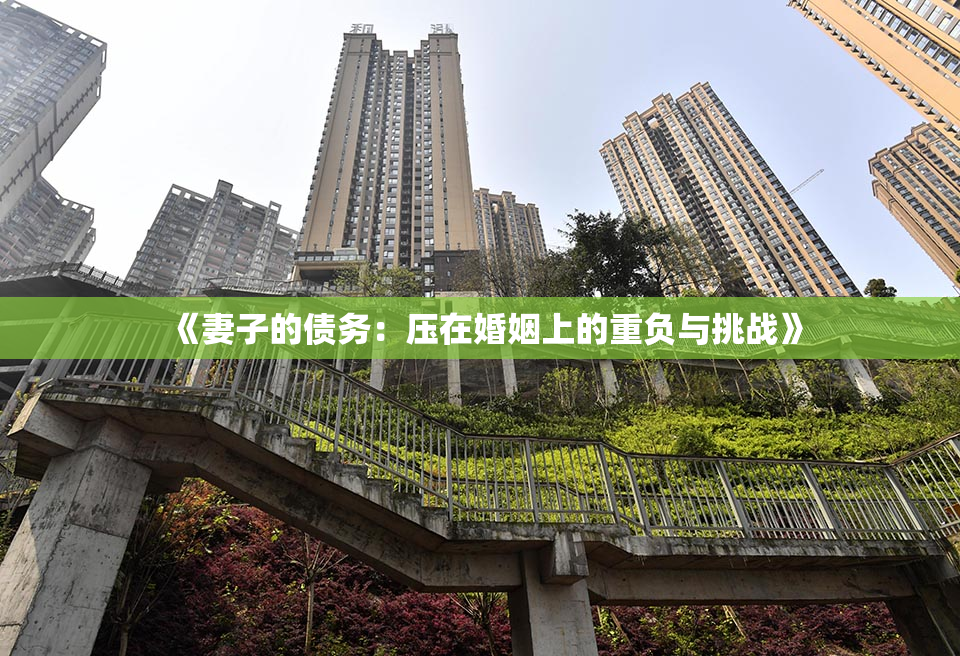 《妻子的债务：压在婚姻上的重负与挑战》