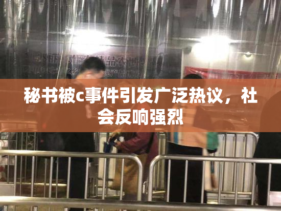 秘书被c事件引发广泛热议，社会反响强烈