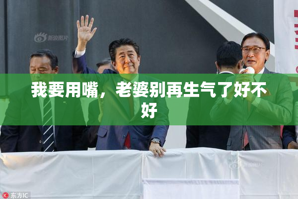 我要用嘴，老婆别再生气了好不好