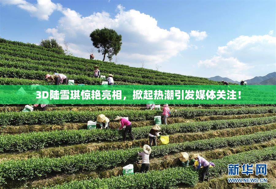 3D陆雪琪惊艳亮相，掀起热潮引发媒体关注！