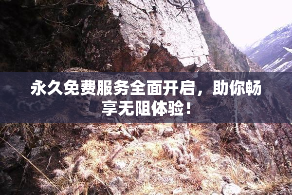 永久免费服务全面开启，助你畅享无阻体验！