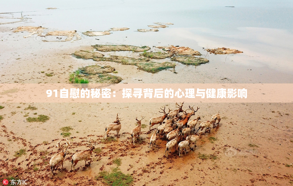 91自慰的秘密：探寻背后的心理与健康影响