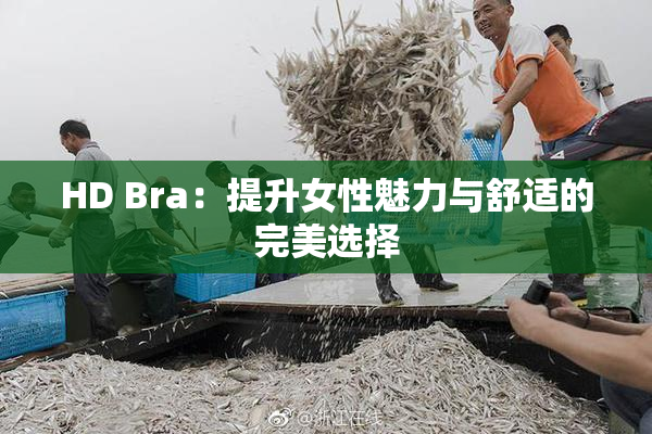 HD Bra：提升女性魅力与舒适的完美选择