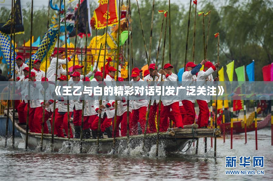 《王乙与白的精彩对话引发广泛关注》