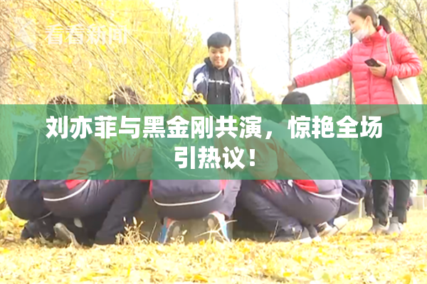刘亦菲与黑金刚共演，惊艳全场引热议！