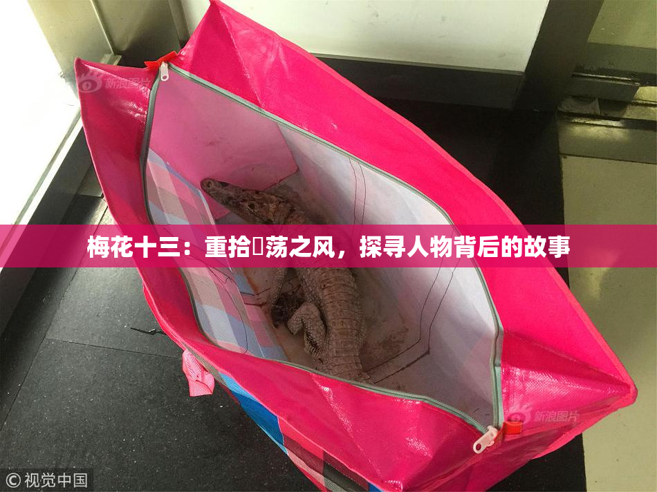 梅花十三：重拾婬荡之风，探寻人物背后的故事