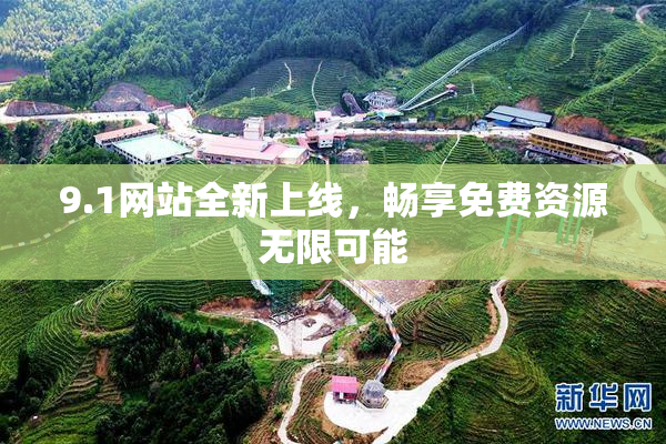 9.1网站全新上线，畅享免费资源无限可能