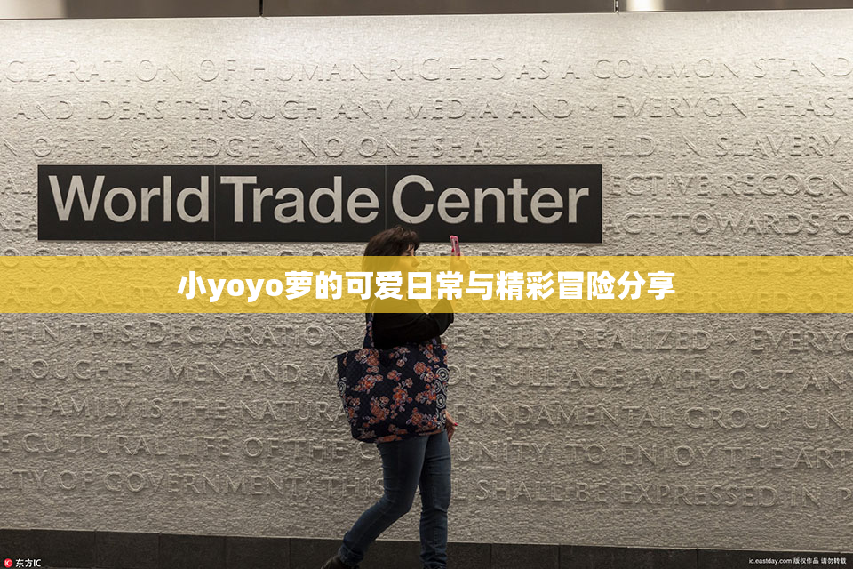 小yoyo萝的可爱日常与精彩冒险分享