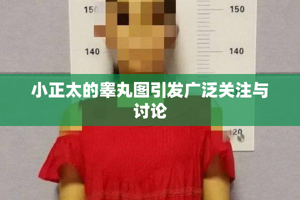 小正太的睾丸图引发广泛关注与讨论