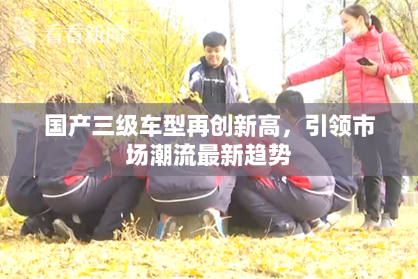 国产三级车型再创新高，引领市场潮流最新趋势
