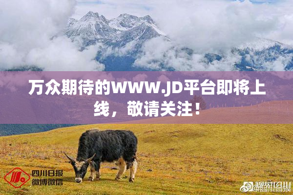 万众期待的WWW.JD平台即将上线，敬请关注！