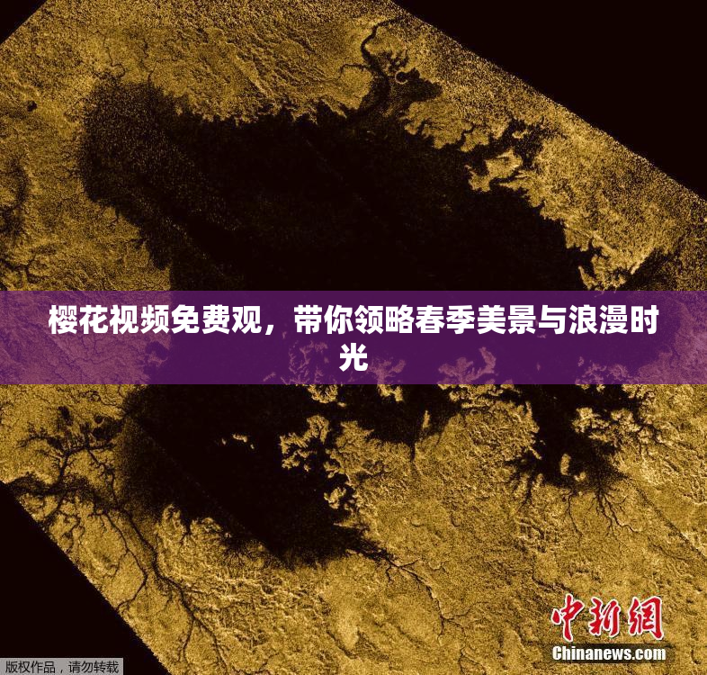 樱花视频免费观，带你领略春季美景与浪漫时光