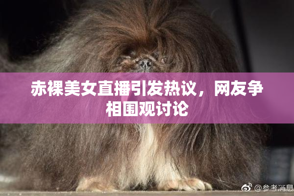 赤裸美女直播引发热议，网友争相围观讨论