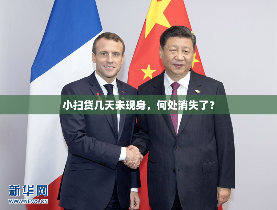 小扫货几天未现身，何处消失了？