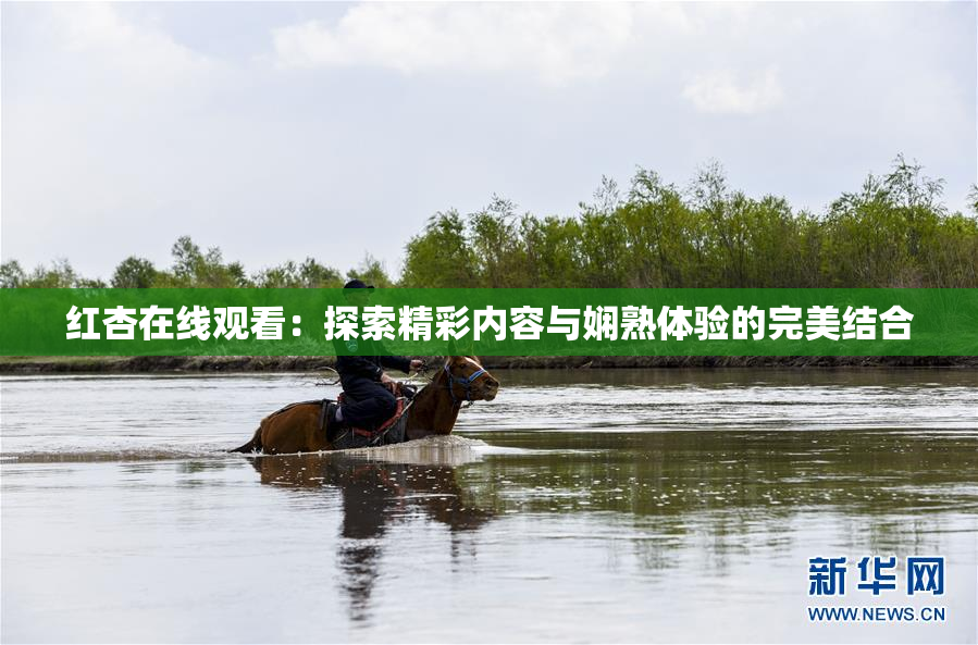 红杏在线观看：探索精彩内容与娴熟体验的完美结合