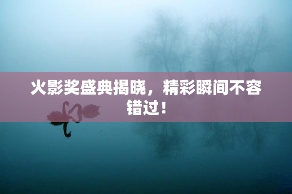 火影奖盛典揭晓，精彩瞬间不容错过！