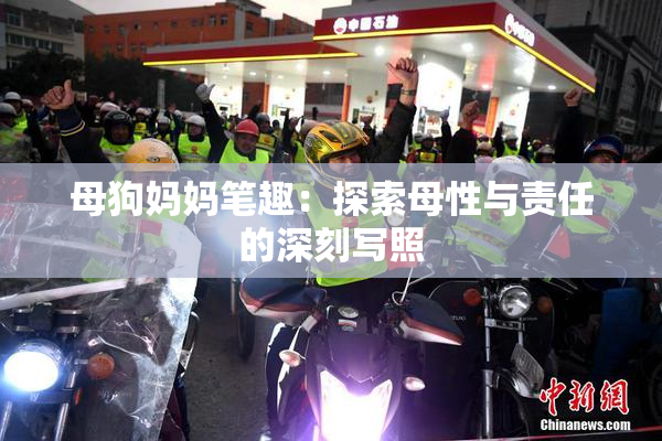 母狗妈妈笔趣：探索母性与责任的深刻写照