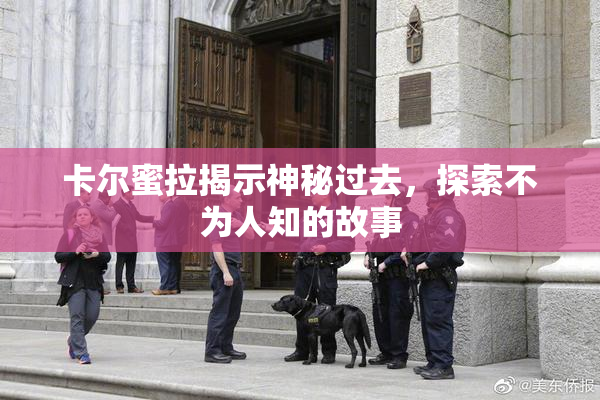 卡尔蜜拉揭示神秘过去，探索不为人知的故事