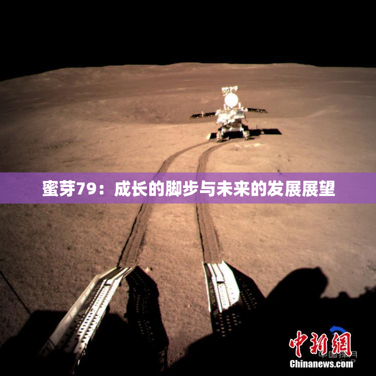 蜜芽79：成长的脚步与未来的发展展望