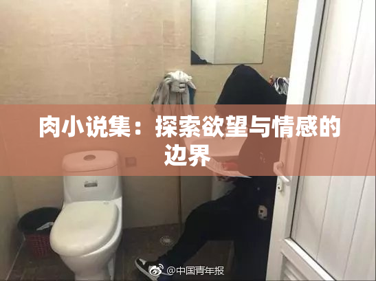 肉小说集：探索欲望与情感的边界