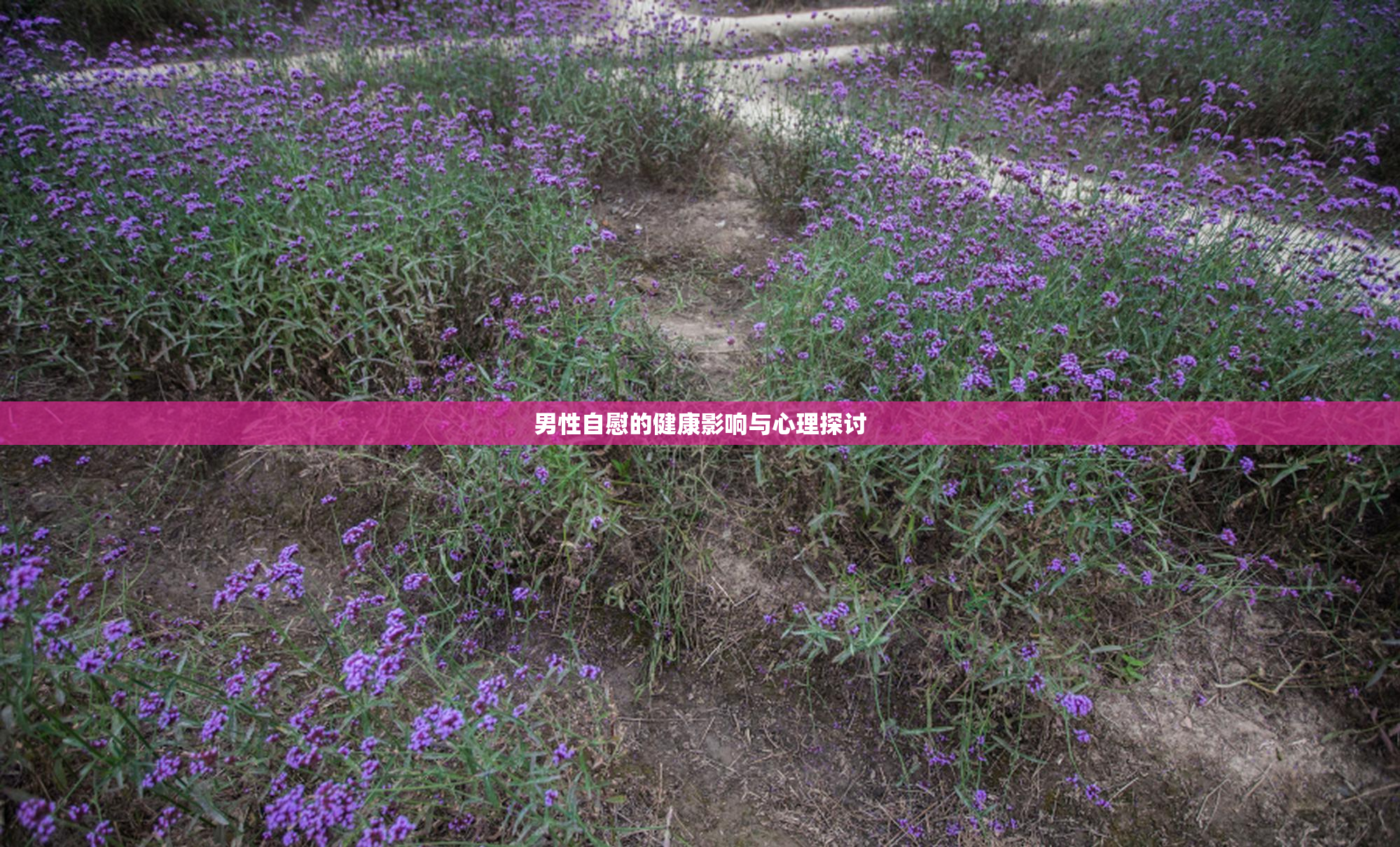 男性自慰的健康影响与心理探讨