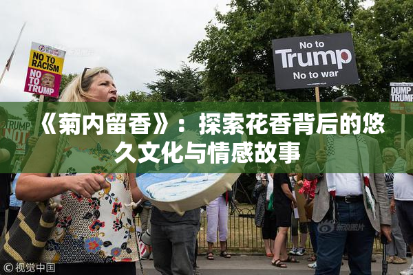 《菊内留香》：探索花香背后的悠久文化与情感故事