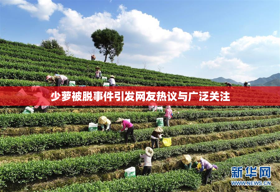 少萝被脱事件引发网友热议与广泛关注