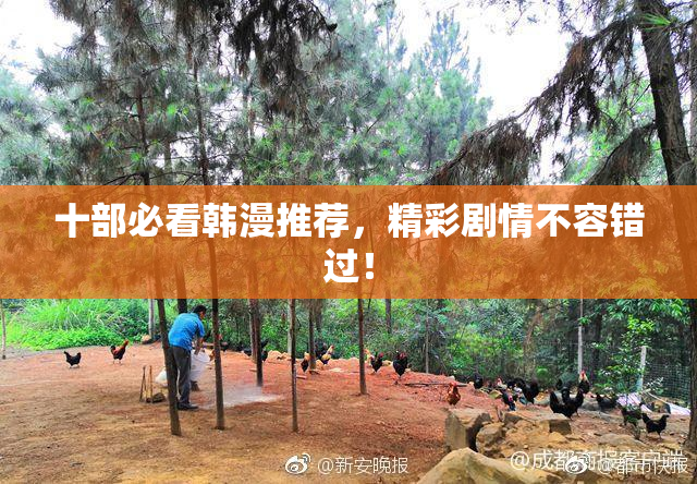 十部必看韩漫推荐，精彩剧情不容错过！