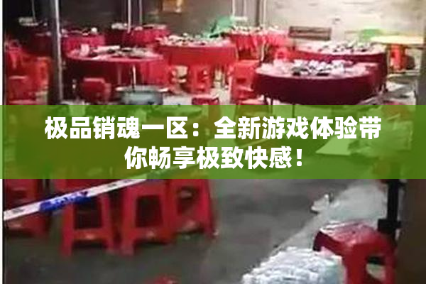 极品销魂一区：全新游戏体验带你畅享极致快感！