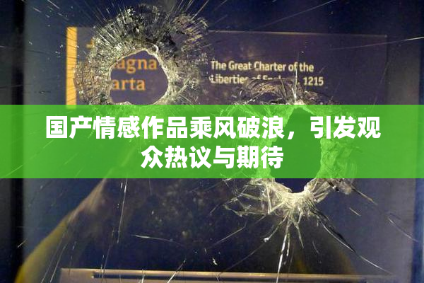国产情感作品乘风破浪，引发观众热议与期待