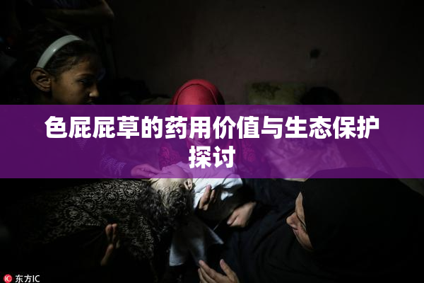 色屁屁草的药用价值与生态保护探讨