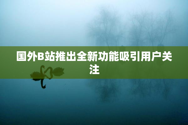 国外B站推出全新功能吸引用户关注