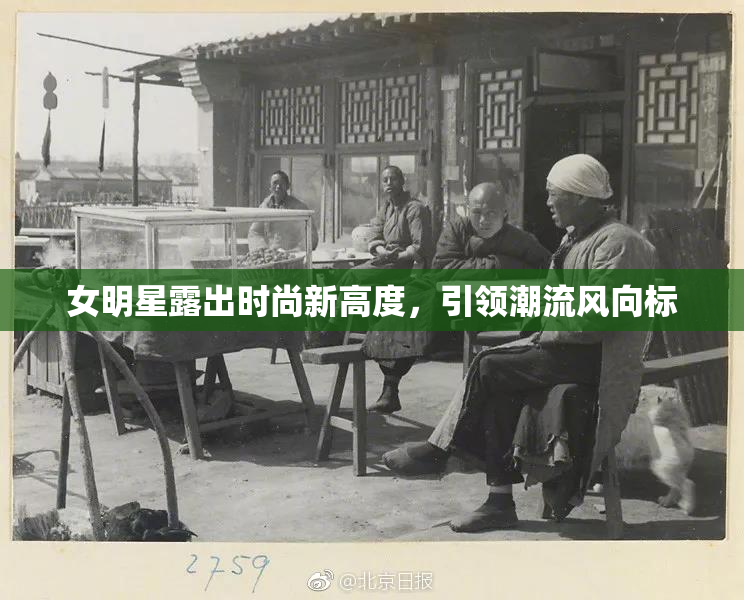 女明星露出时尚新高度，引领潮流风向标