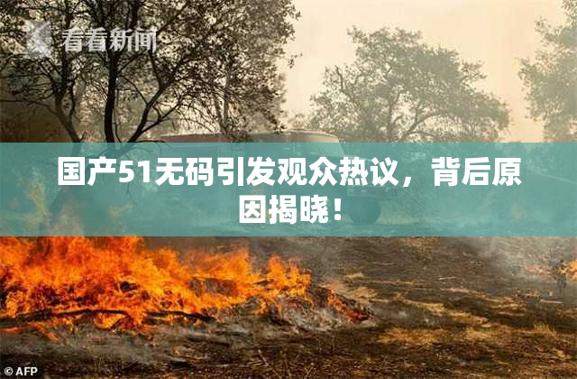 国产51无码引发观众热议，背后原因揭晓！