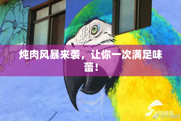 炖肉风暴来袭，让你一次满足味蕾！