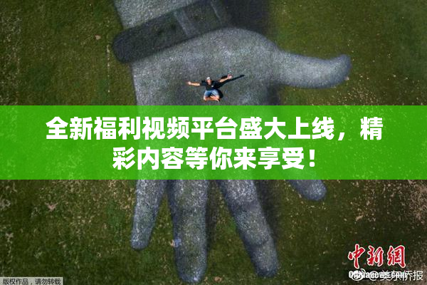 全新福利视频平台盛大上线，精彩内容等你来享受！