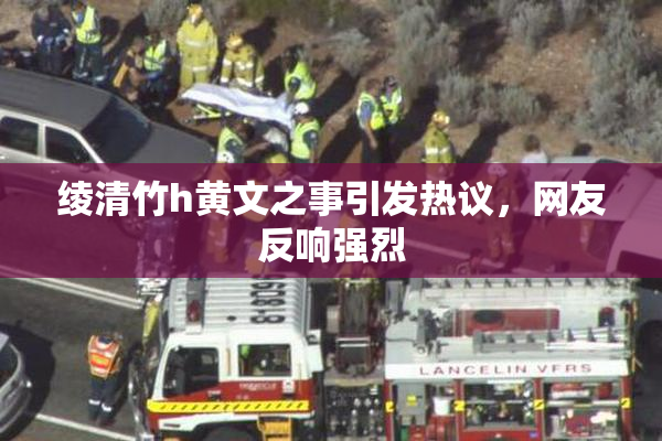 绫清竹h黄文之事引发热议，网友反响强烈