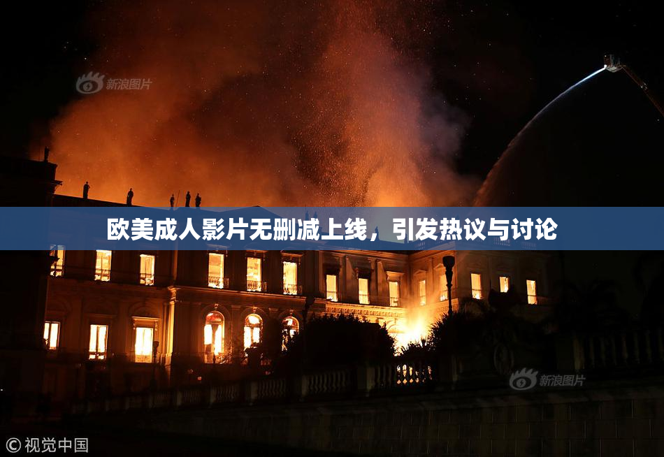 欧美成人影片无删减上线，引发热议与讨论