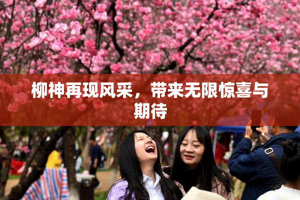 柳神再现风采，带来无限惊喜与期待