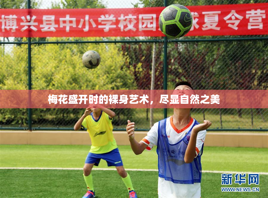 梅花盛开时的裸身艺术，尽显自然之美