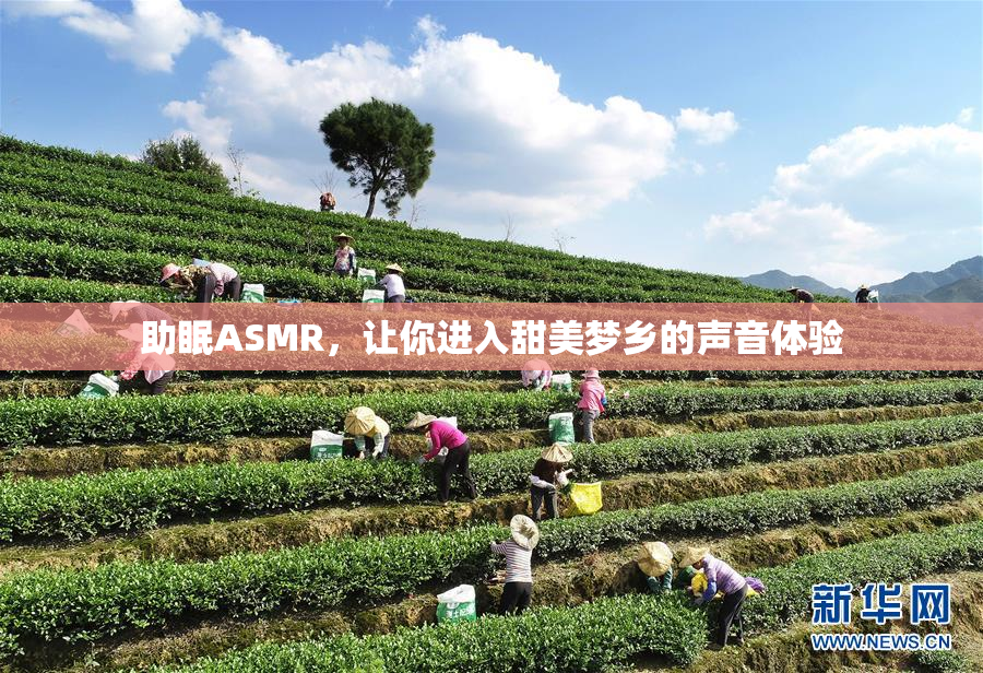助眠ASMR，让你进入甜美梦乡的声音体验