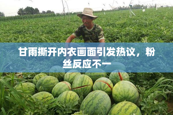 甘雨撕开内衣画面引发热议，粉丝反应不一