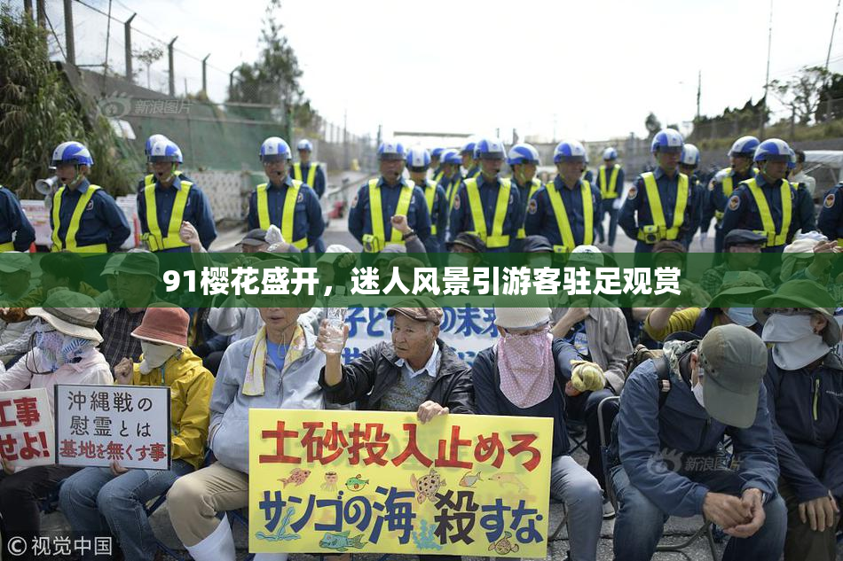 91樱花盛开，迷人风景引游客驻足观赏